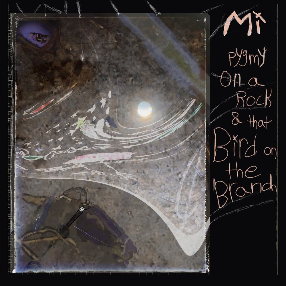 De-Luxed; Pygmy on a Rock and that Bird on the Branch cover art